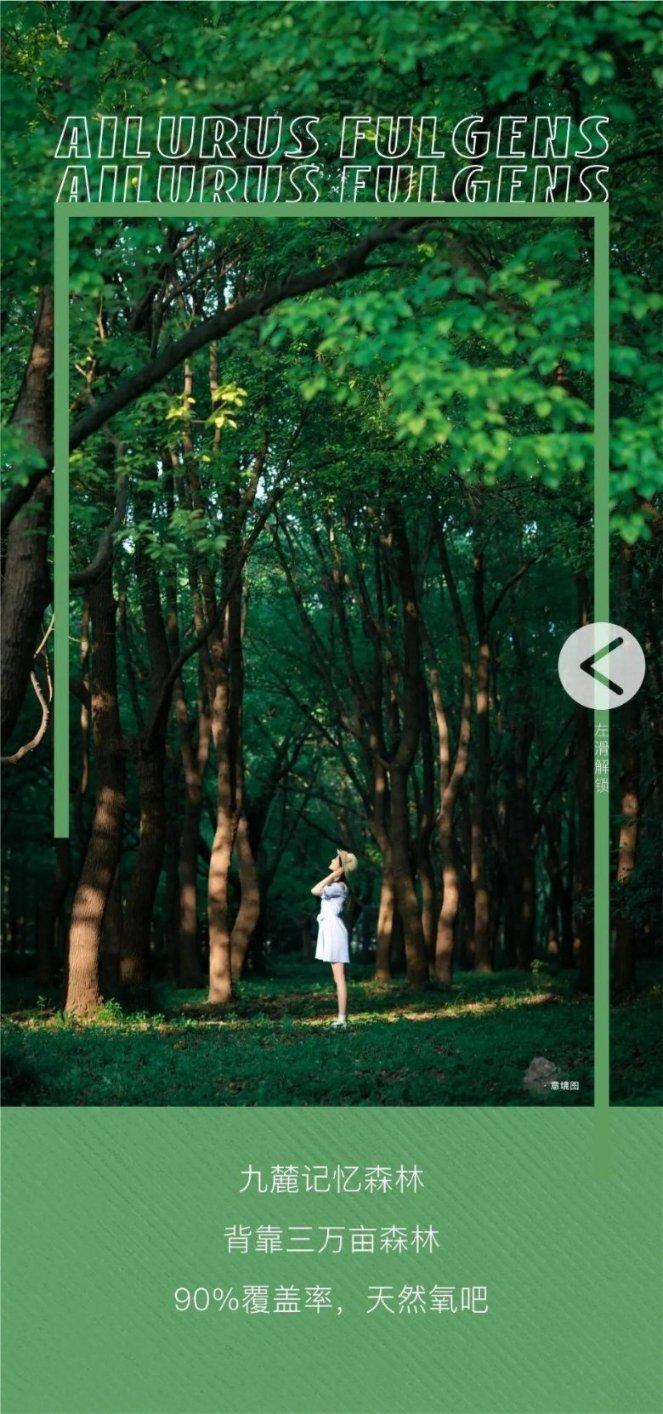 日久生情和一见钟情,哪个更可靠?-问题是种子,知识是花朵
