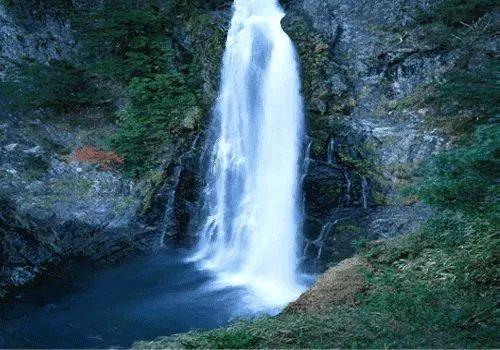 你能逃离此地吗